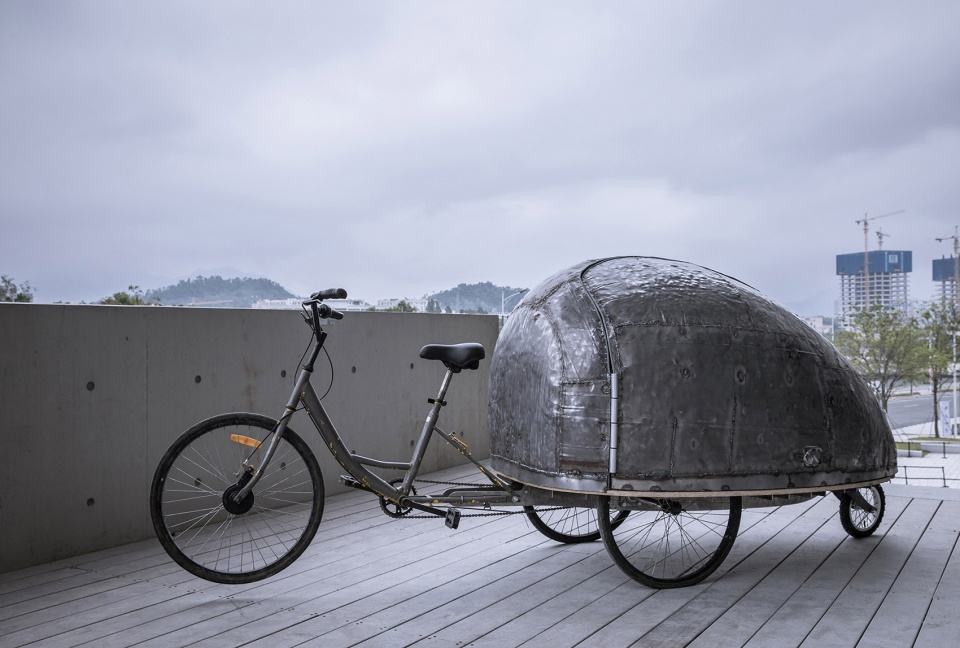shared lady beetle china by luo studio