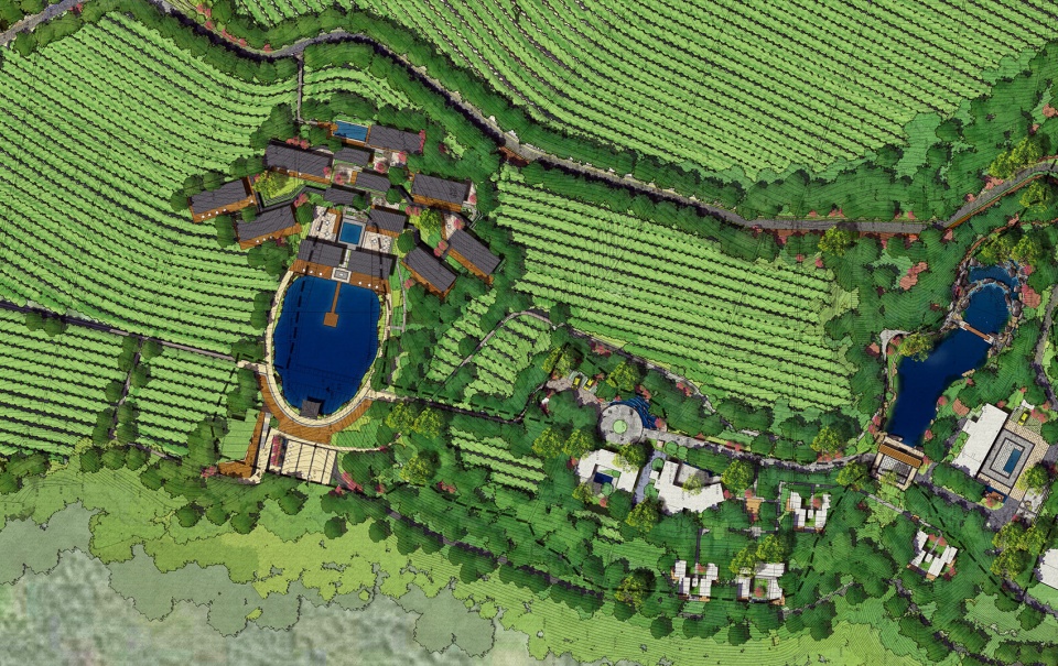ding xin tea garden,china by chongqing haofeng planning and design group