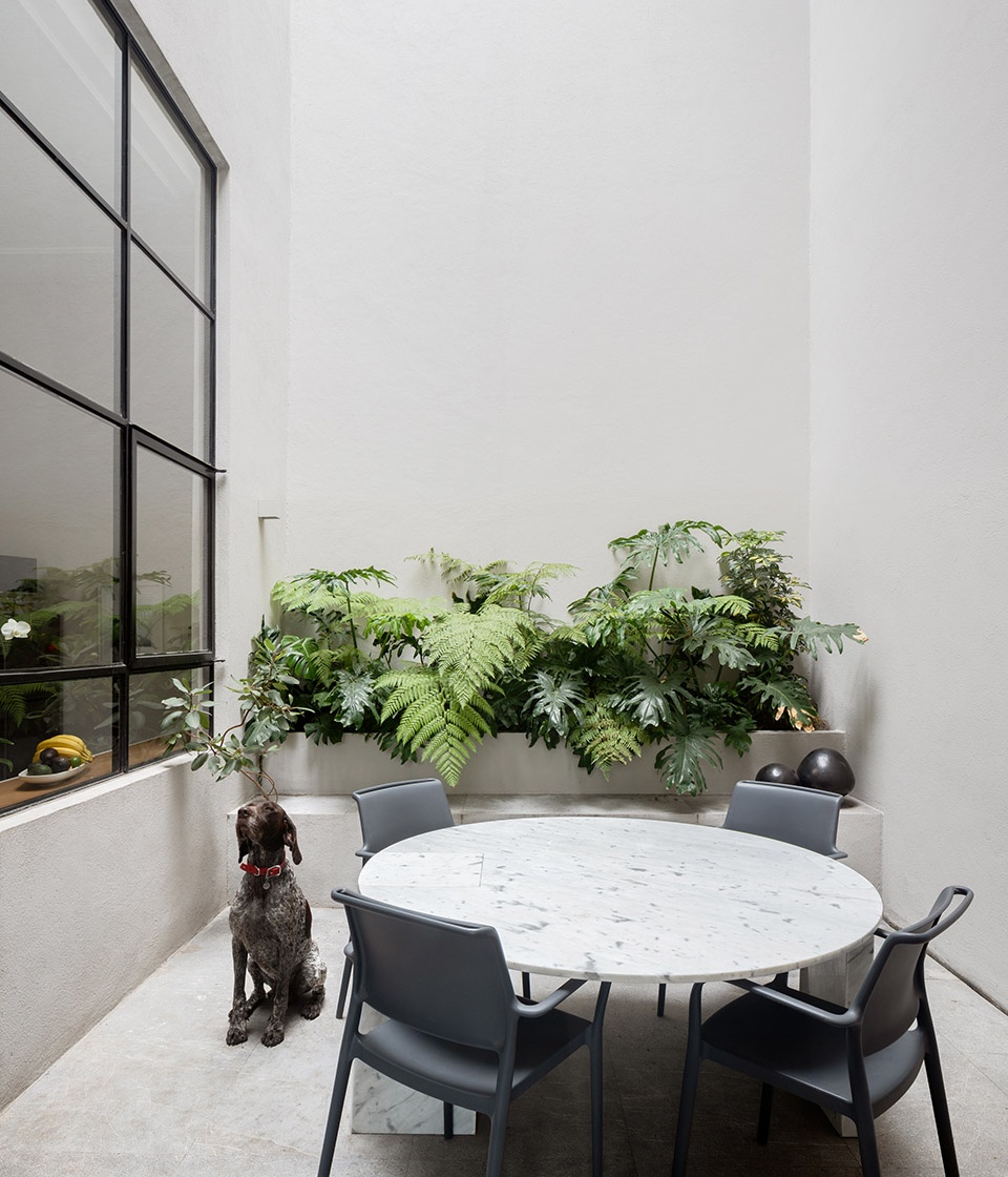 monterrey 55 by ppaa