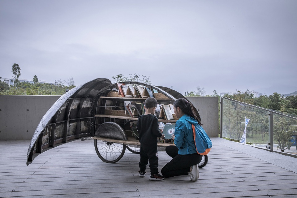 shared lady beetle china by luo studio
