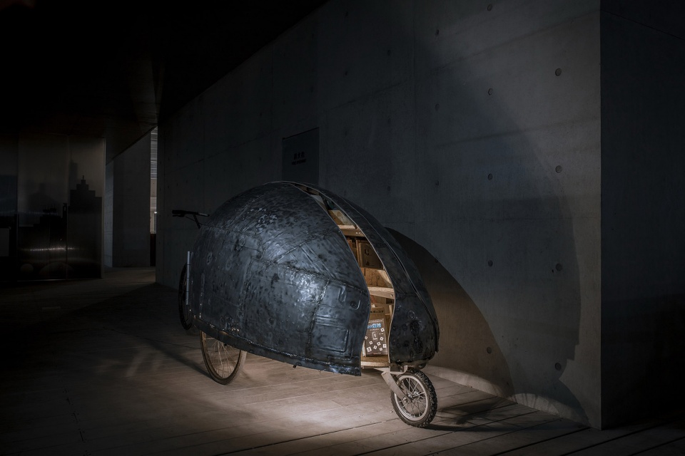 shared lady beetle china by luo studio