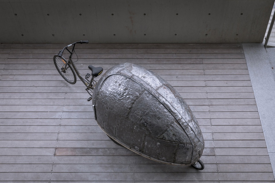 shared lady beetle china by luo studio
