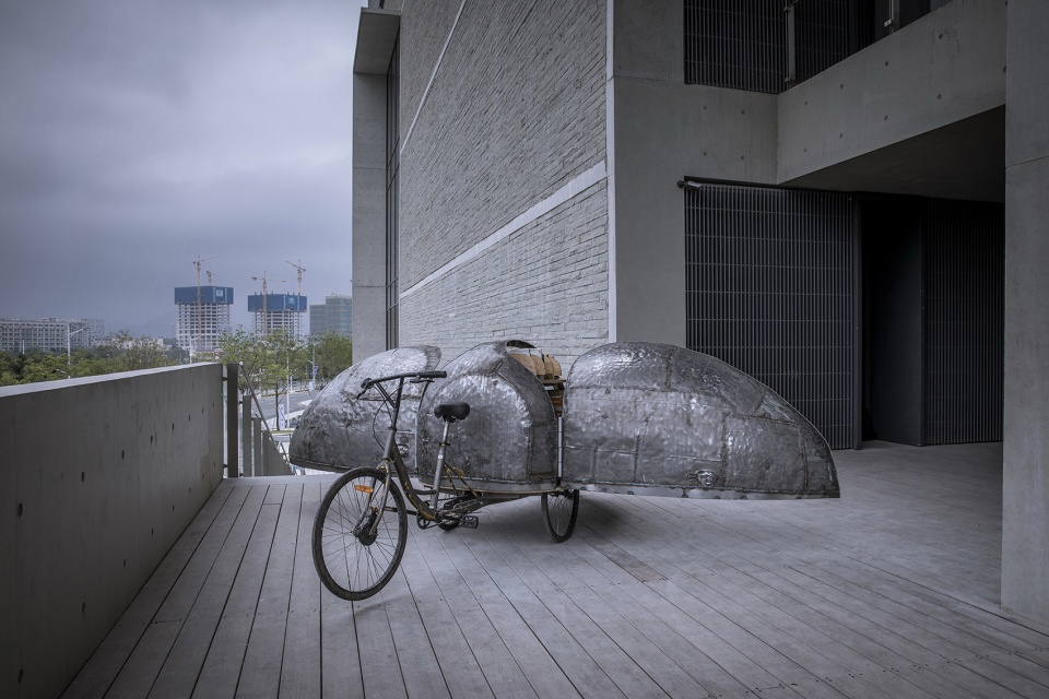shared lady beetle china by luo studio