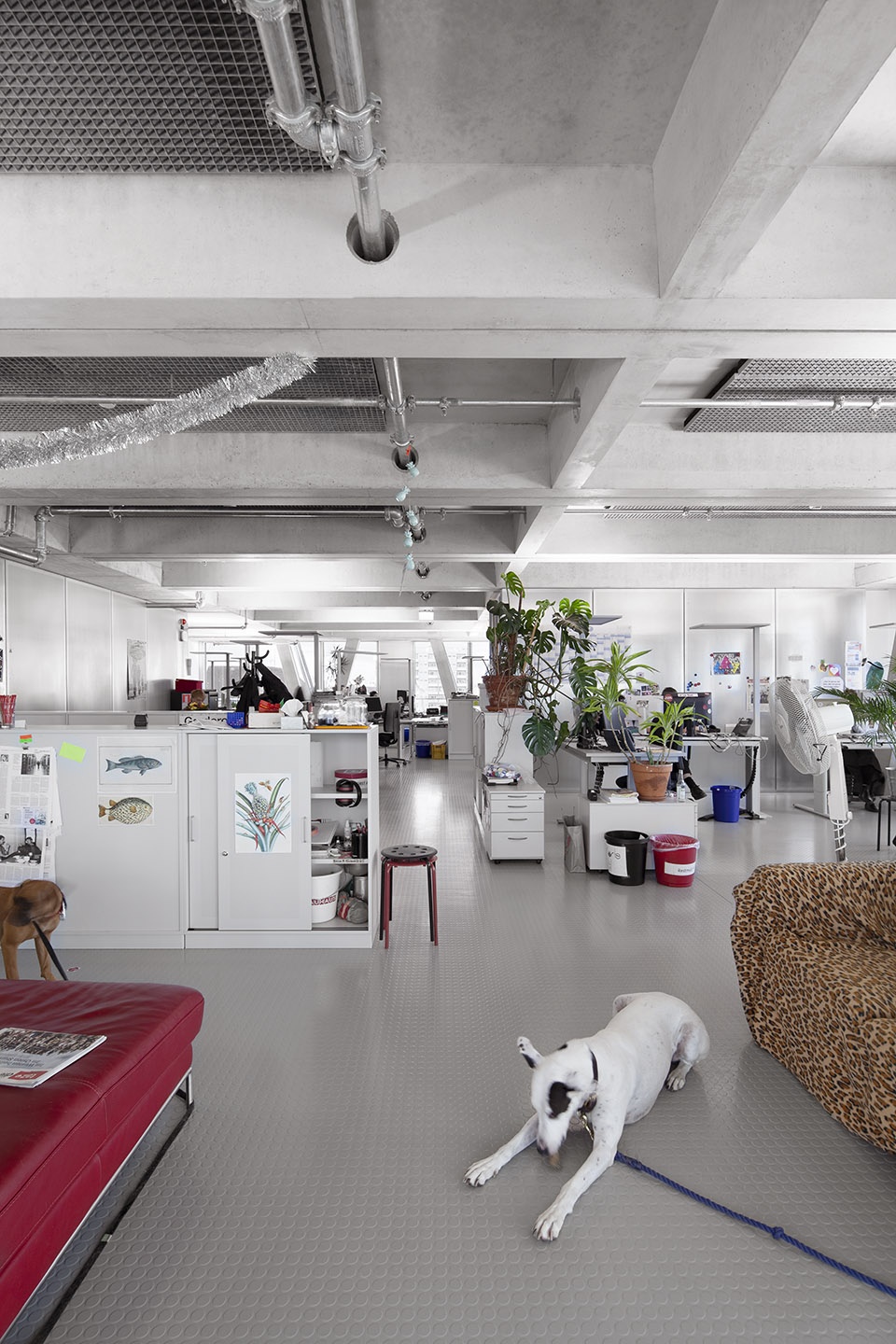 taz neubau by e2a