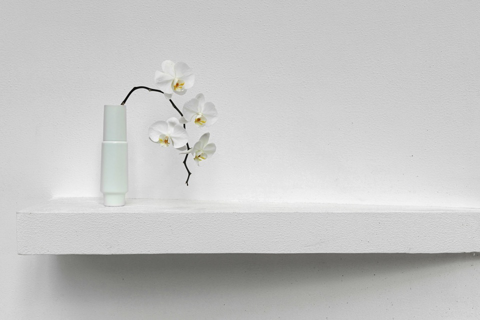 is flora china by ge studio
