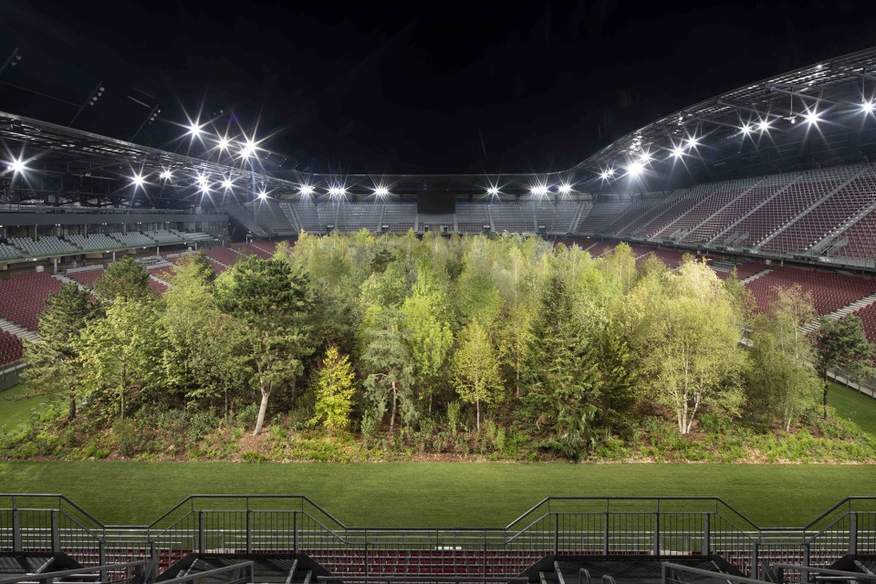 for forest the unending attraction of nature by klaus littmann