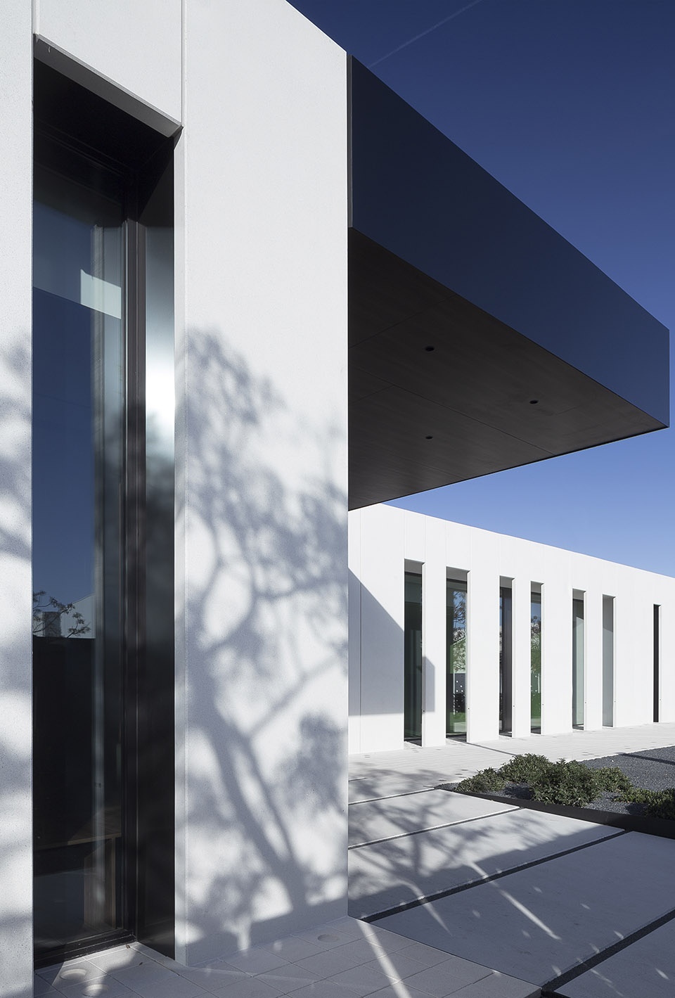 pronova dental clinic by francesc rife studio