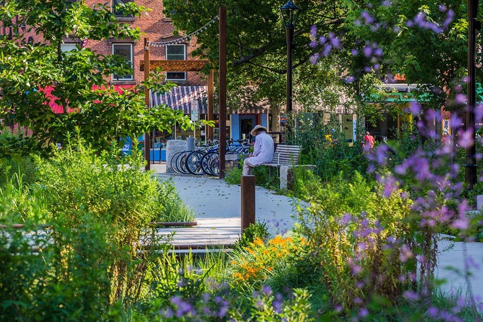 2018 asla general design award of honor re envisioning pulaski park by stimson