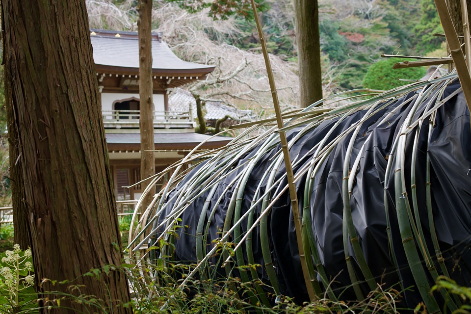 ozu ana mobile theater by kengo kuma laboratory the university of tokyo