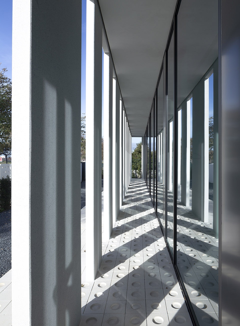 pronova dental clinic by francesc rife studio
