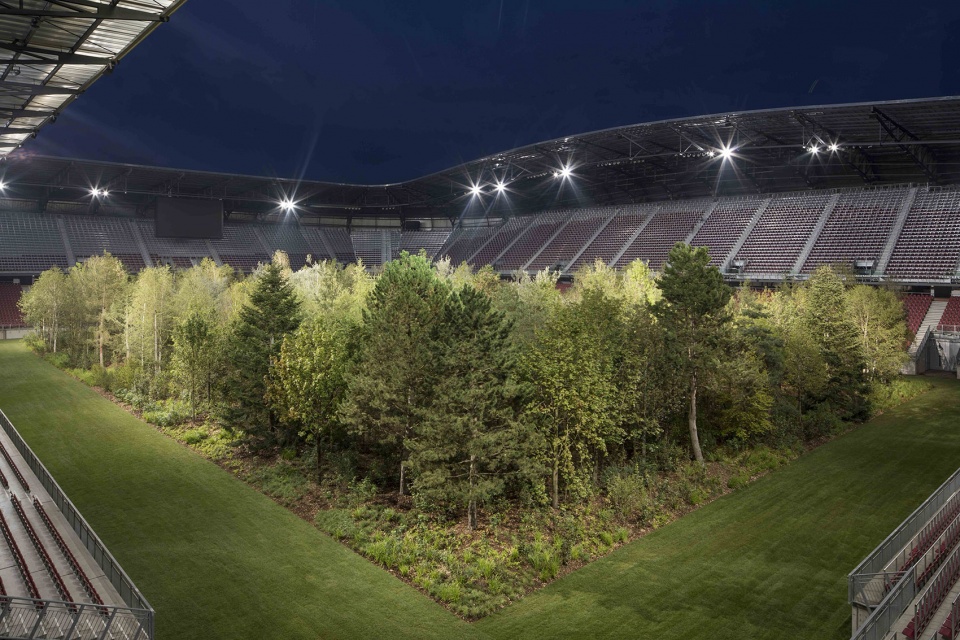 for forest the unending attraction of nature by klaus littmann