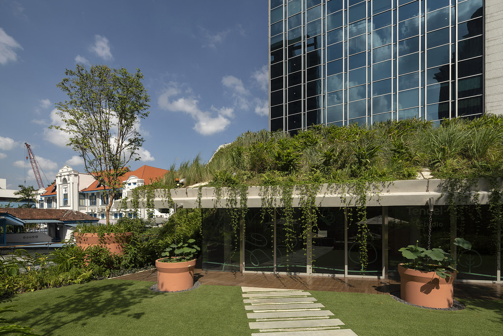 design orchard by woha