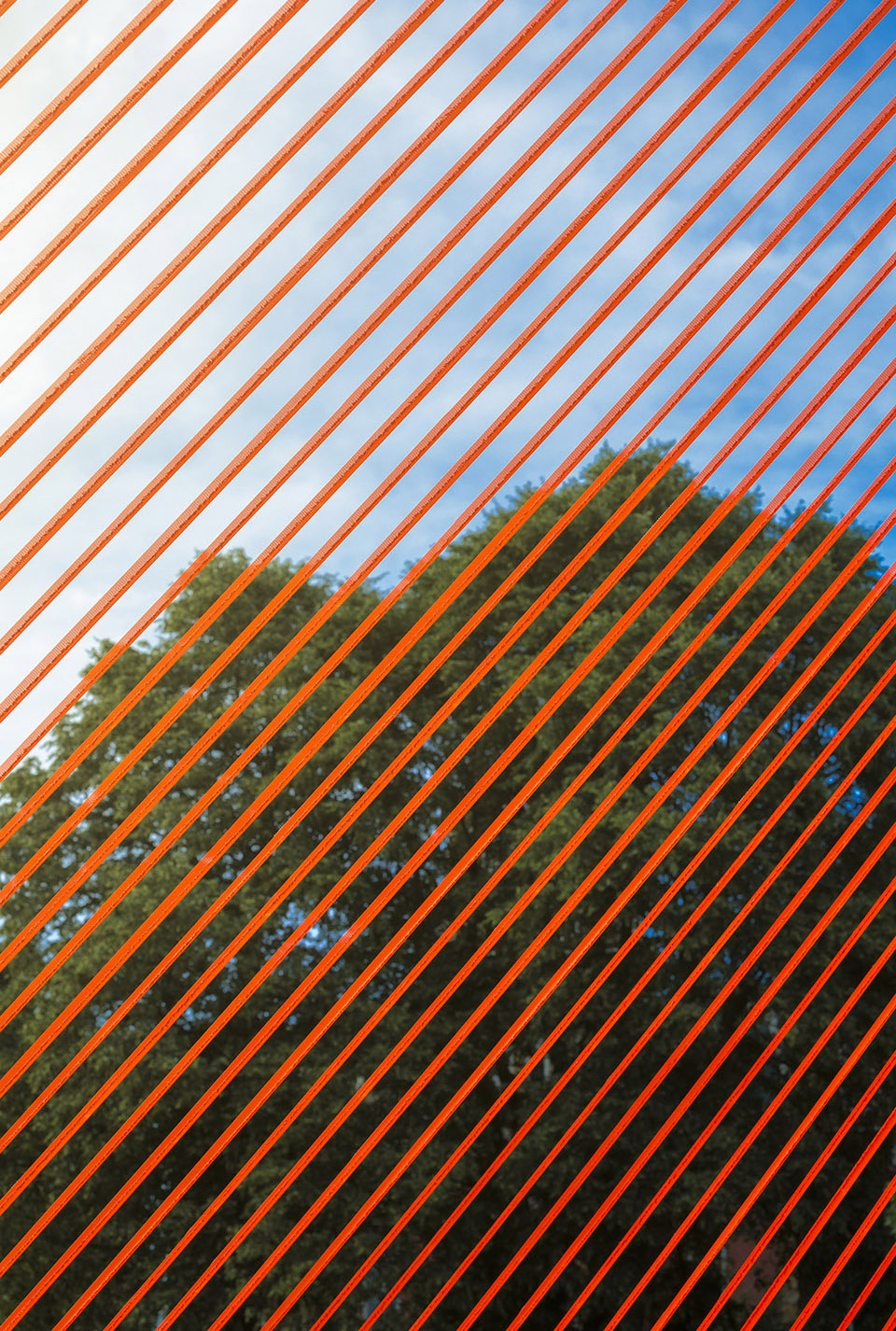 coshocton ray trace by behin ha