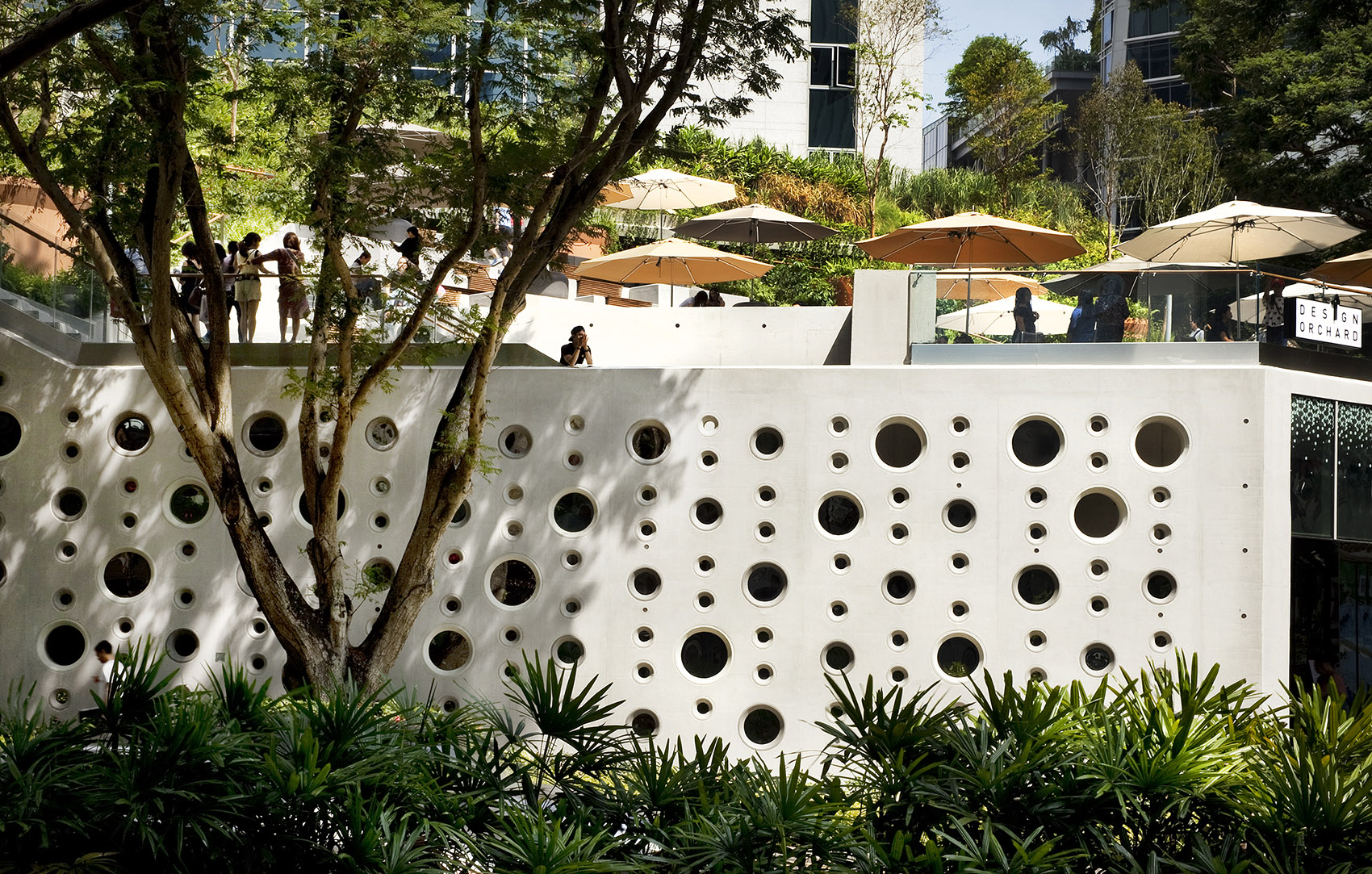 design orchard by woha