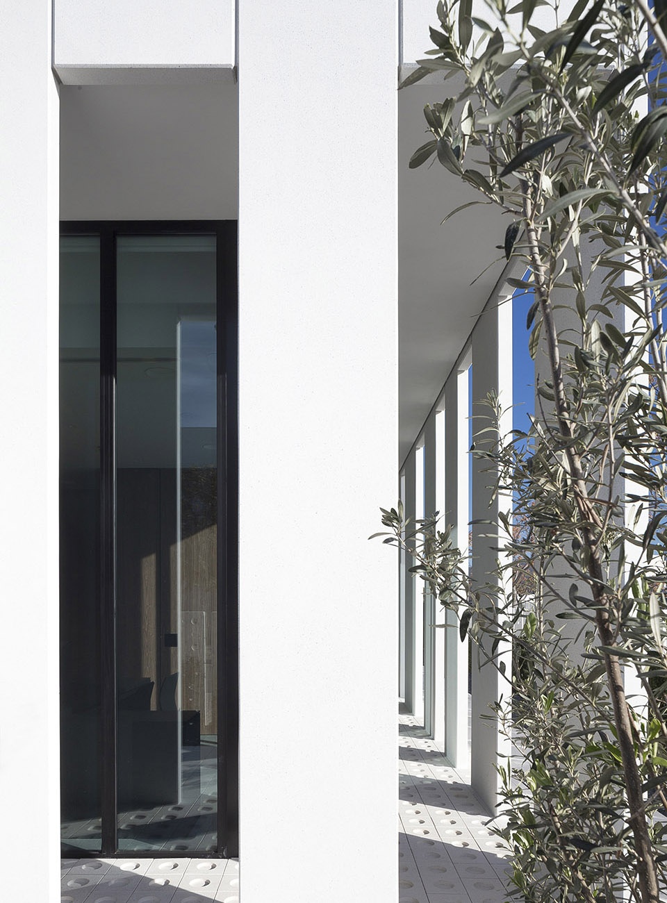 pronova dental clinic by francesc rife studio