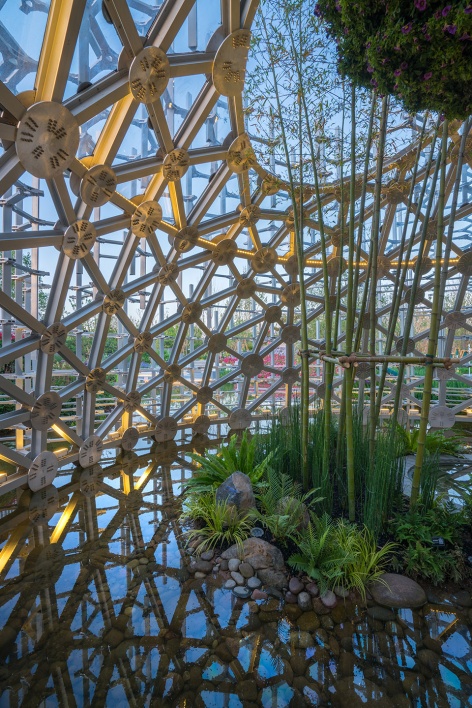 the shanghai garden of the 2019 beijing world horticultural exhibition china by ecadi