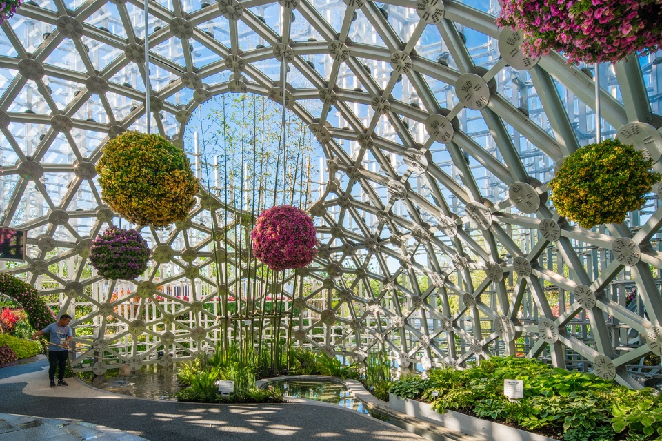 the shanghai garden of the 2019 beijing world horticultural exhibition china by ecadi