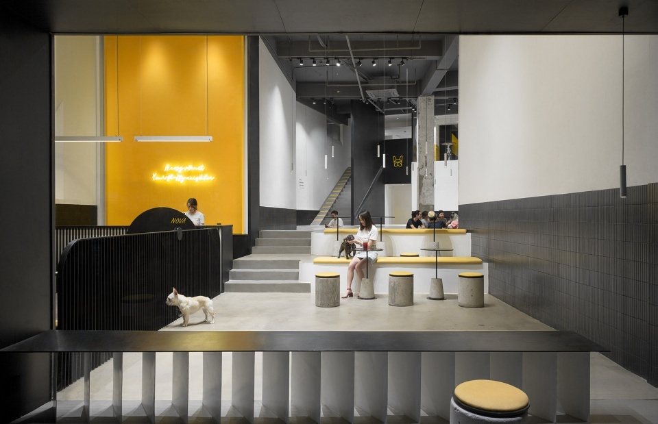 nova pets china by say architects 960x619 1