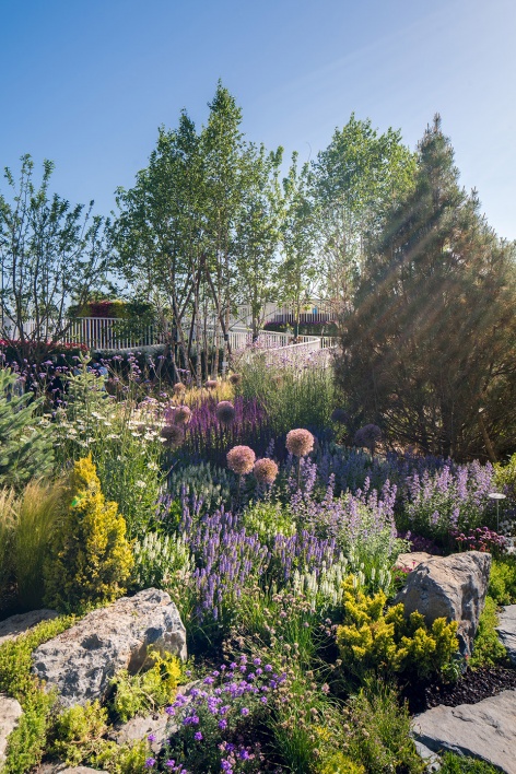 the shanghai garden of the 2019 beijing world horticultural exhibition china by ecadi