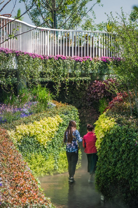 the shanghai garden of the 2019 beijing world horticultural exhibition china by ecadi