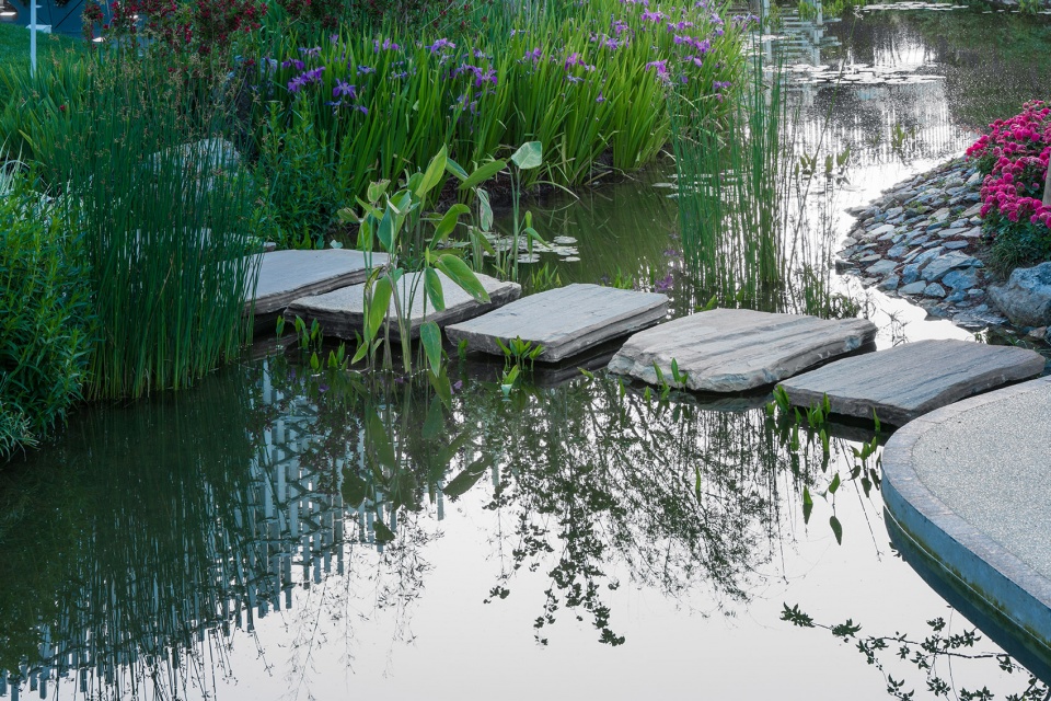 the shanghai garden of the 2019 beijing world horticultural exhibition china by ecadi
