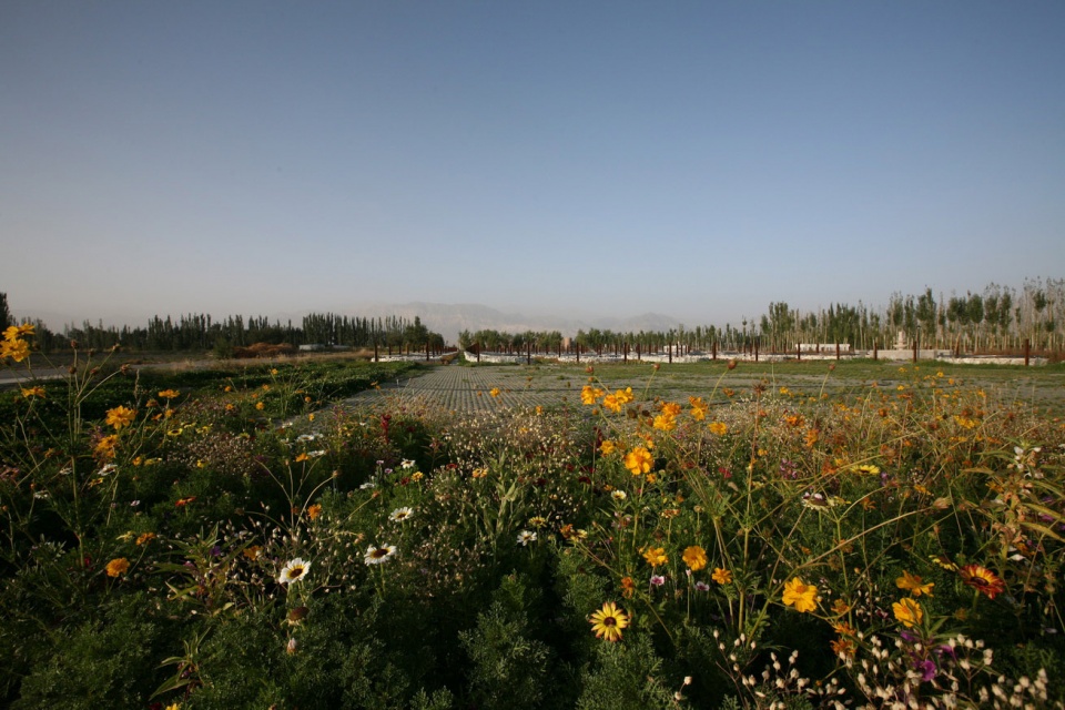 landscape design of xinjiang ruifeng winery china by r land