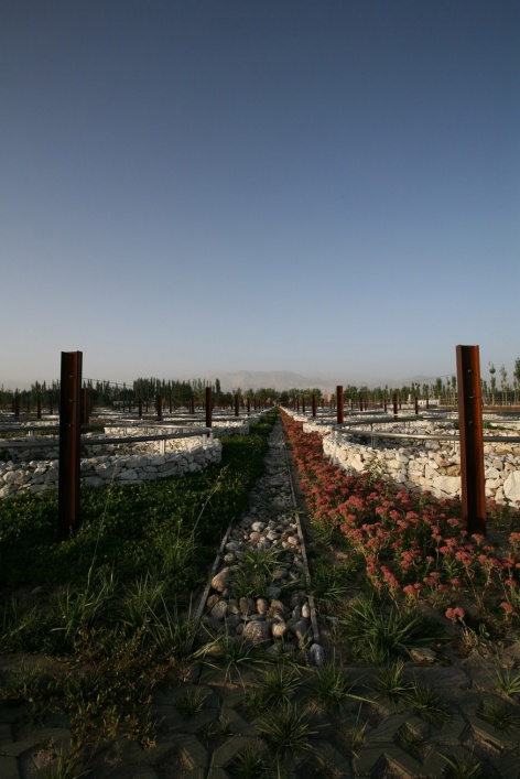 landscape design of xinjiang ruifeng winery china by r land