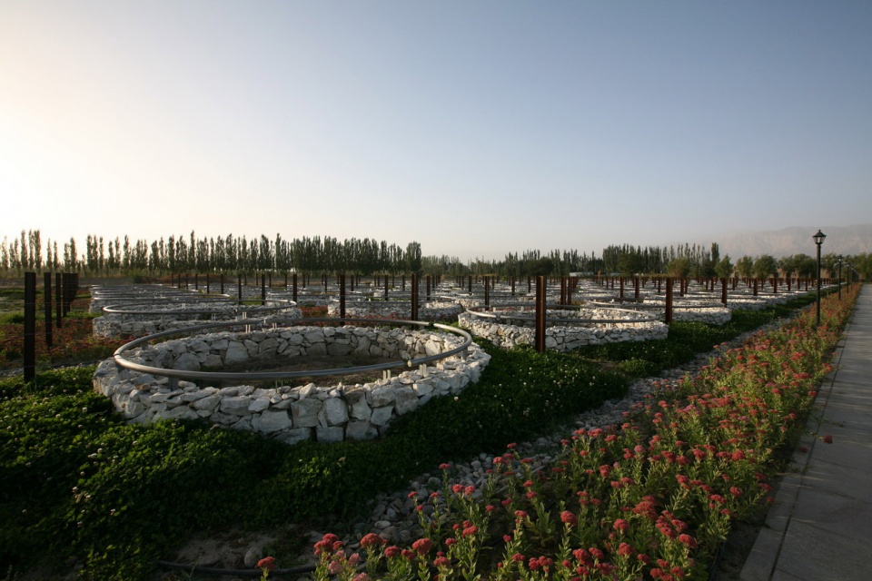 landscape design of xinjiang ruifeng winery china by r land