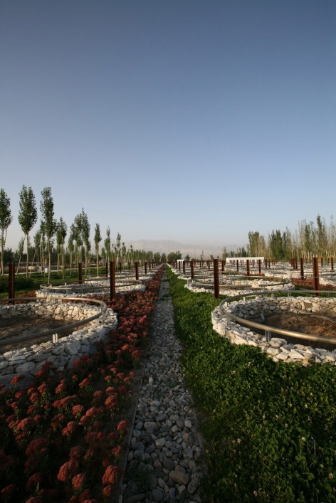landscape design of xinjiang ruifeng winery china by r land