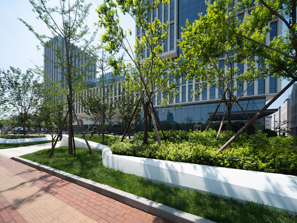 tianbai· economic newbase china by jeffery design