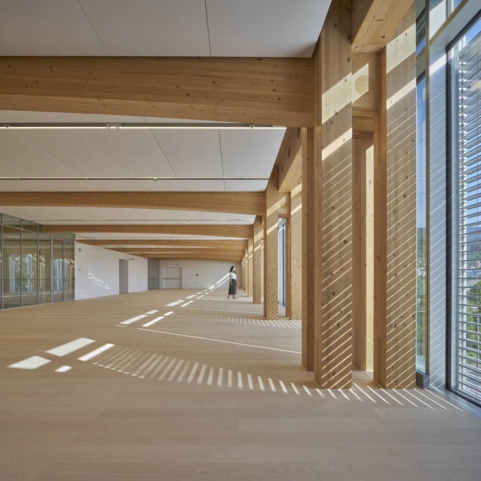 THE SWATCH AND OMEGA CAMPUS by Shigeru Ban Architects