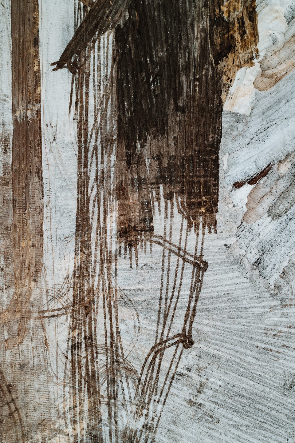 the coal mine series by tom hegen