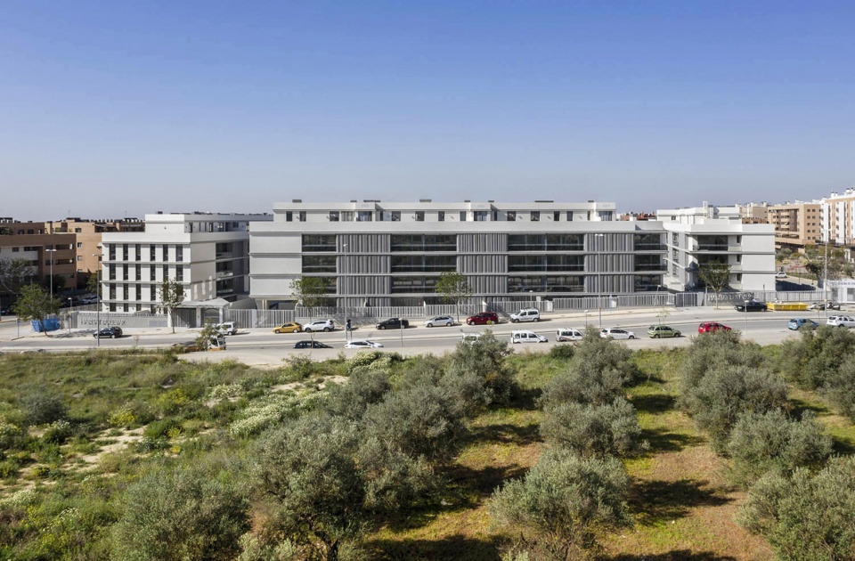 habitat boulevar 123 dwellings in mairena del aljarafe by gabriel verd arquitectos buro4 arquitectos slp
