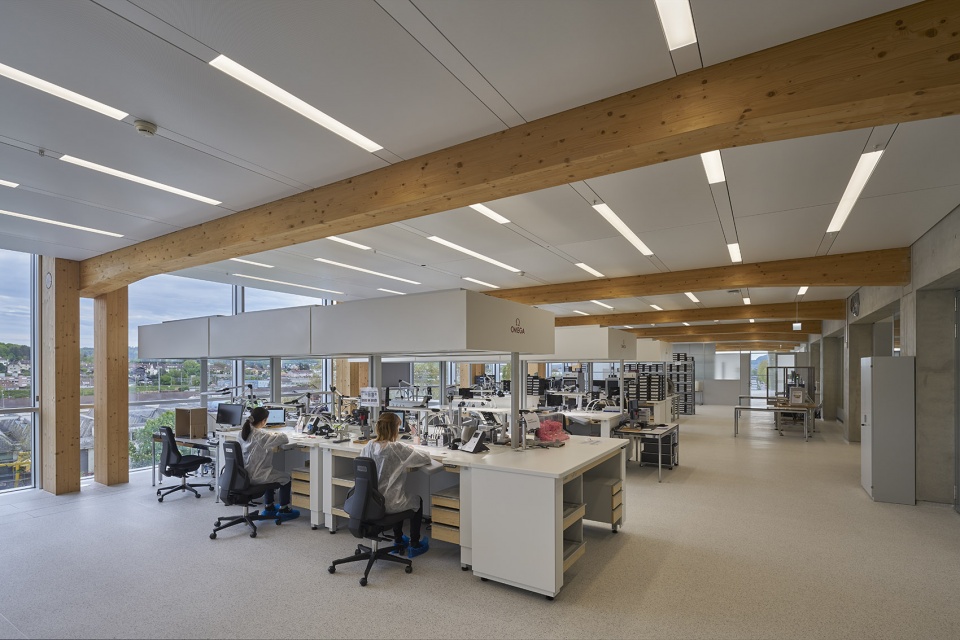 THE SWATCH AND OMEGA CAMPUS by Shigeru Ban Architects