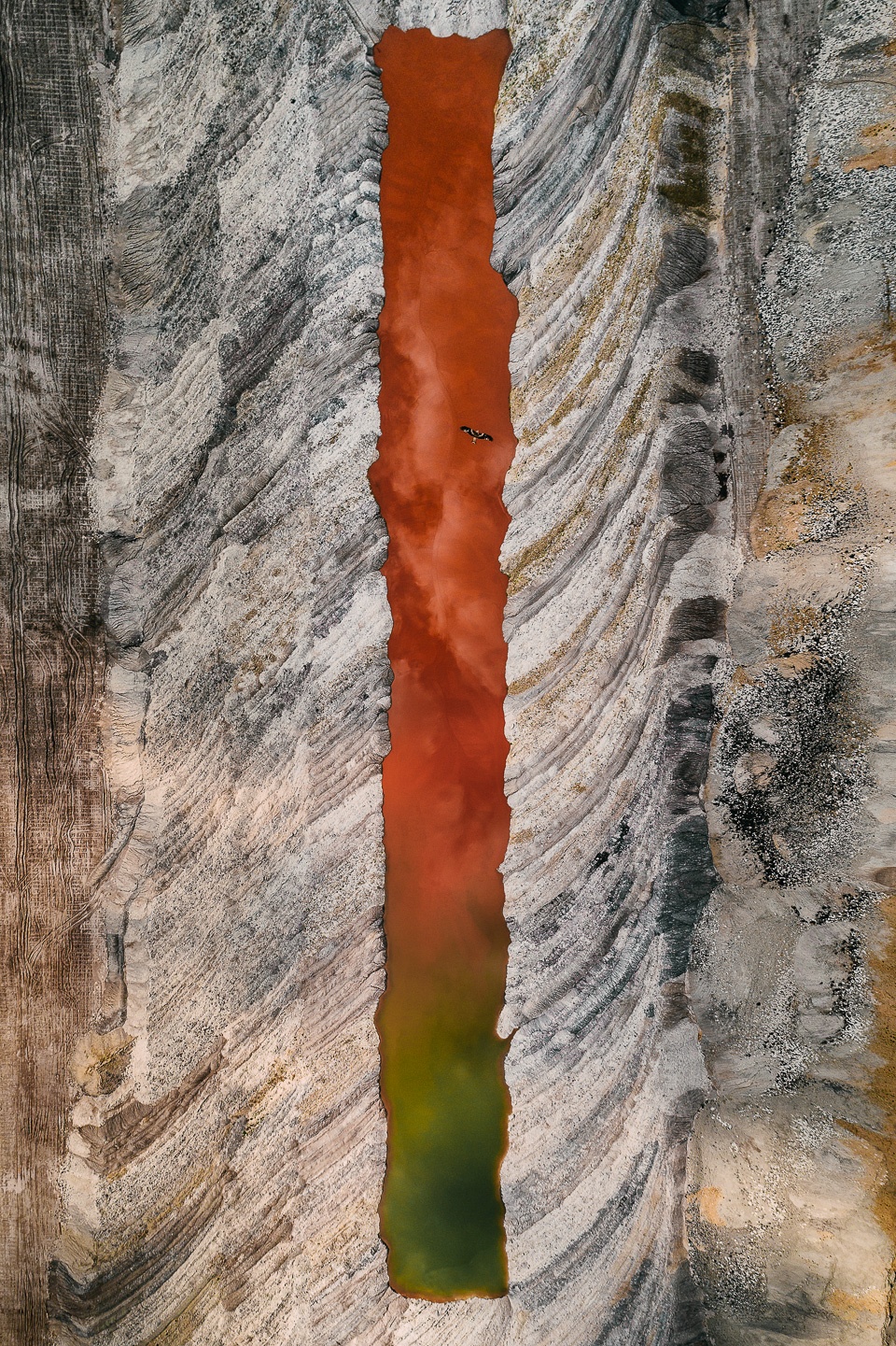 the coal mine series by tom hegen