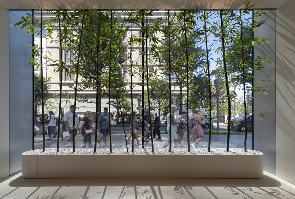 apple marunouchi by foster partners
