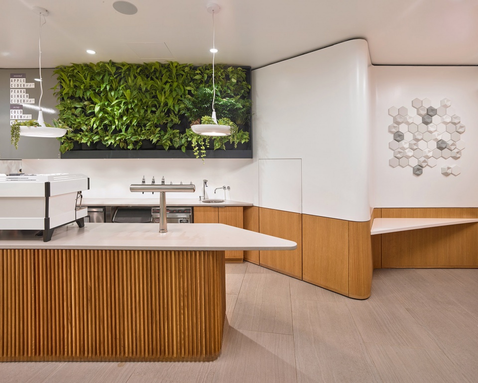 pilot coffee roasters cafes by williamson williamson inc