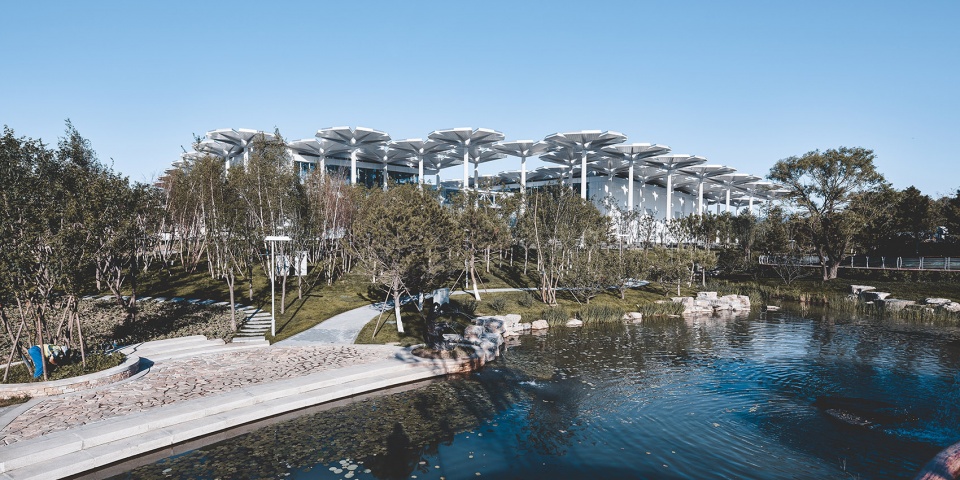 the international pavilion of the 2019 beijing international horticultural exhibition china by biad hu yue studio