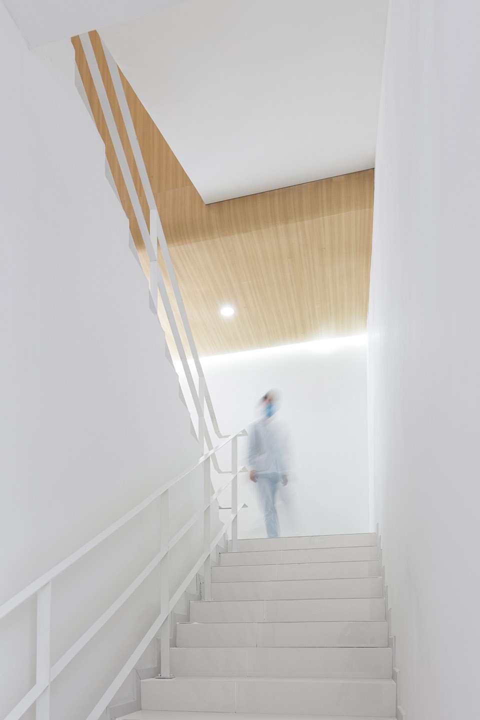 Langfang Blood Donation Center HILLS design
