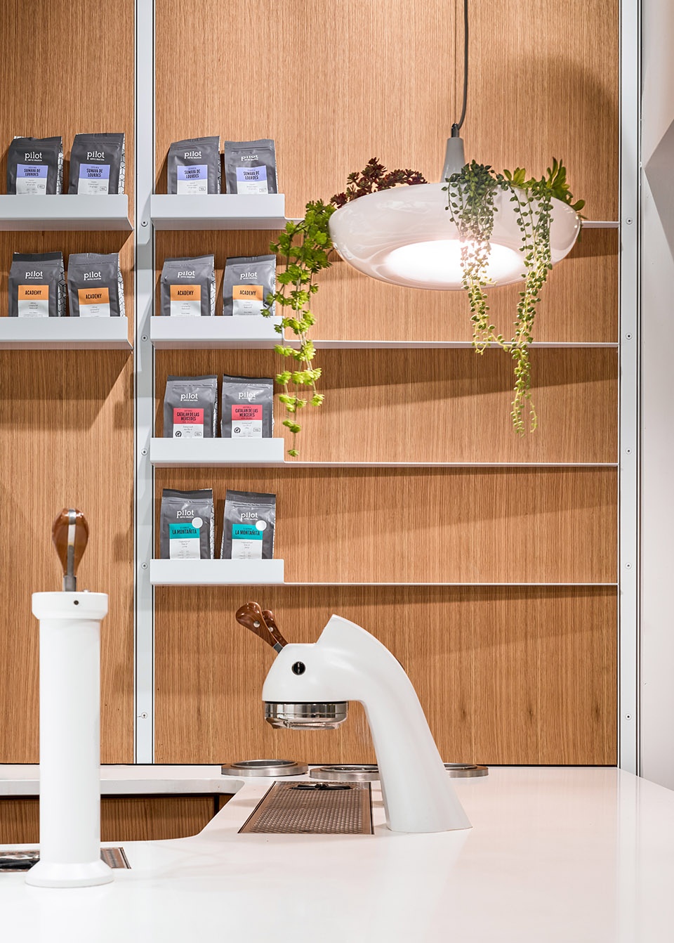 pilot coffee roasters cafes by williamson williamson inc