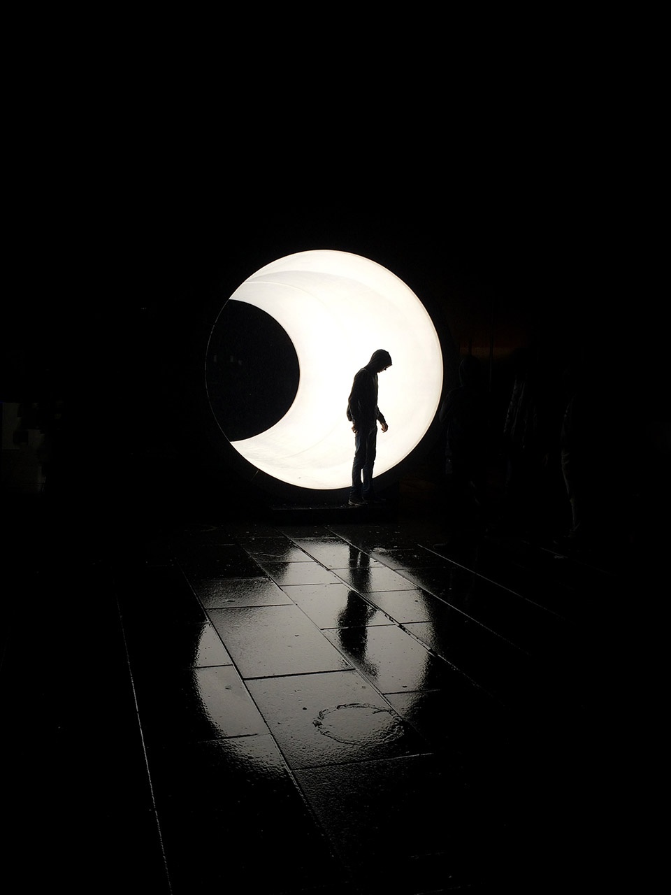 a collection of installations by karolina halatek