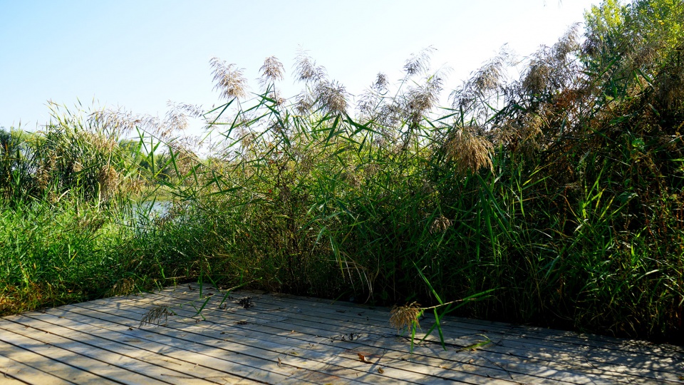 participatory design a natural protected landscape china by chinese academy of forestry