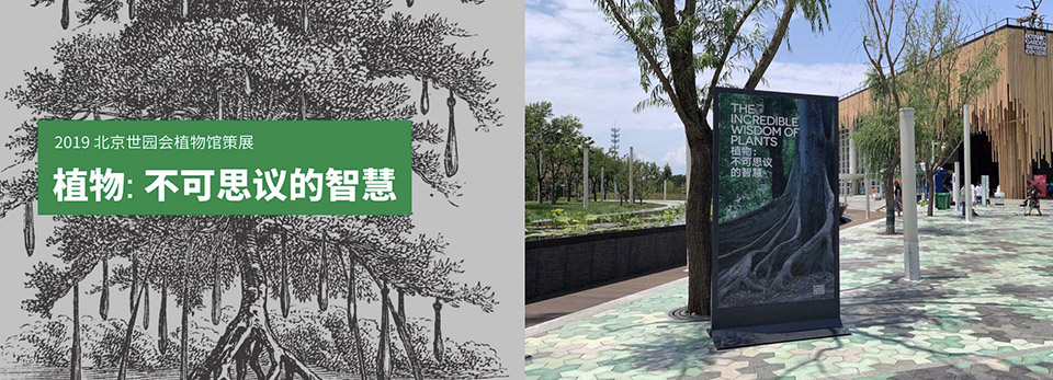世园会植物馆1