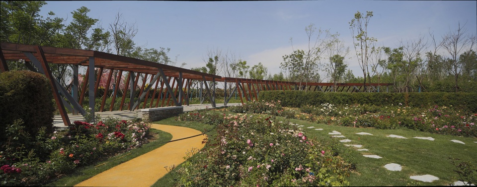 nanyang intercontinental monthly expo china by beilin landscape architecture research center
