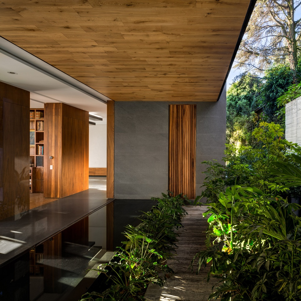 house p29 by vgz arquitectura