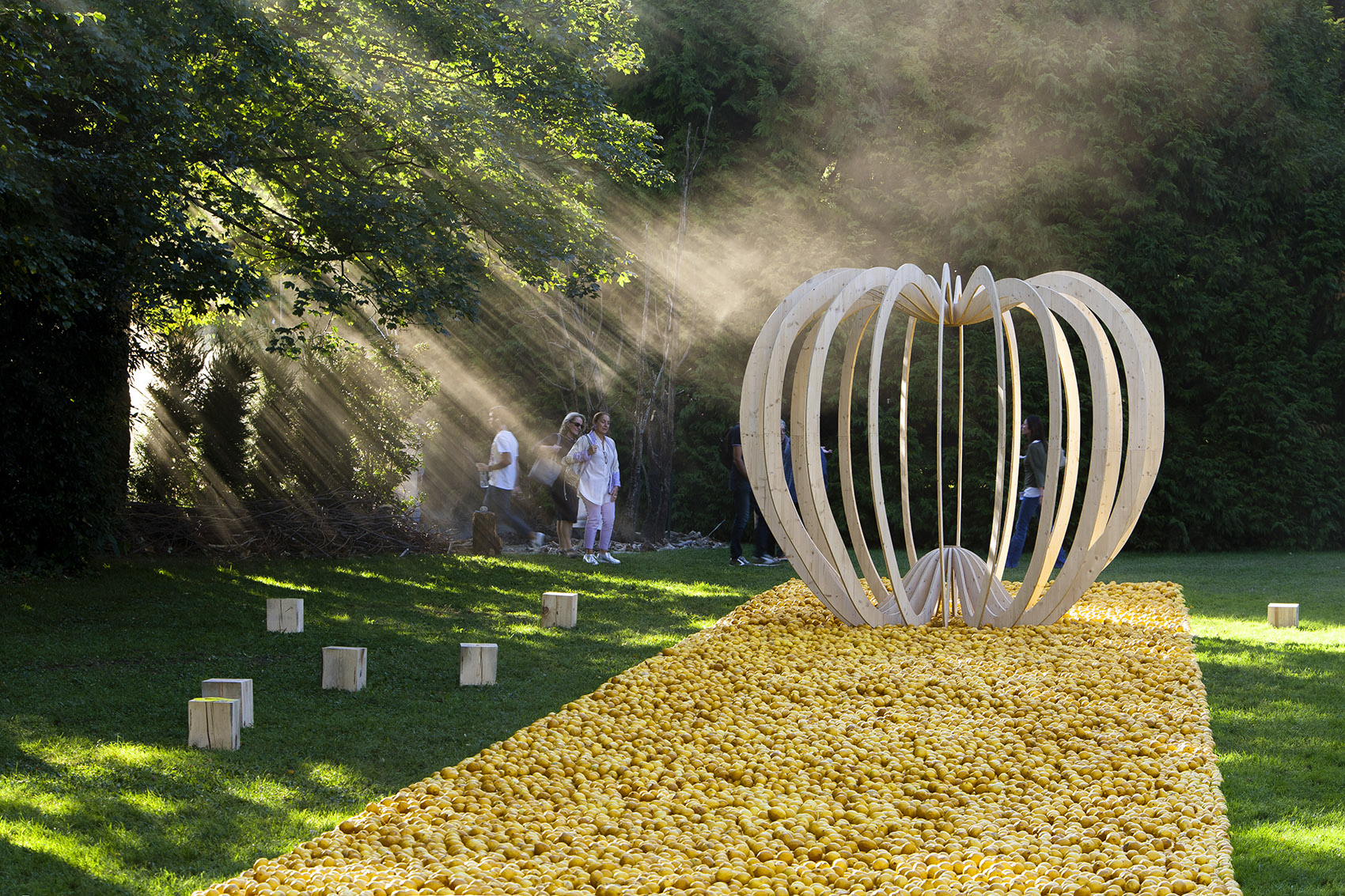 Tree of Knowledge by Nomad Studio 谷德设计网