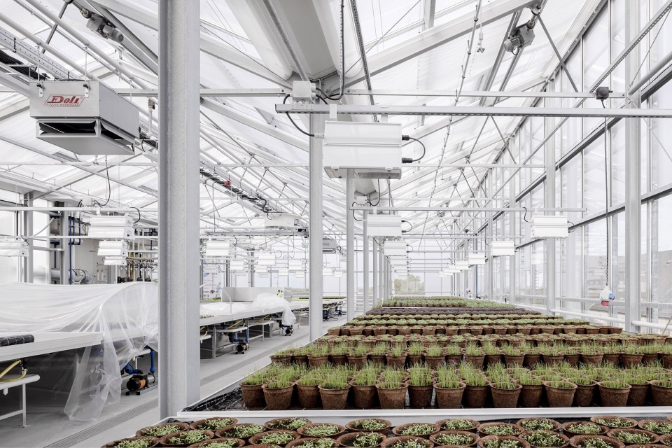 administration building with rooftop greenhouse at the altmarkt oberhausen by kuehn malvezzi