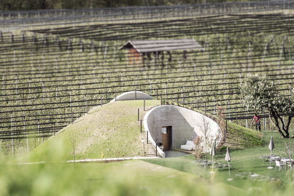 Applesauce by network of architecture