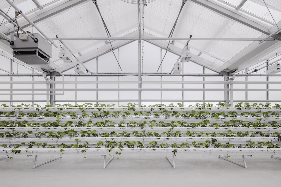 administration building with rooftop greenhouse at the altmarkt oberhausen by kuehn malvezzi