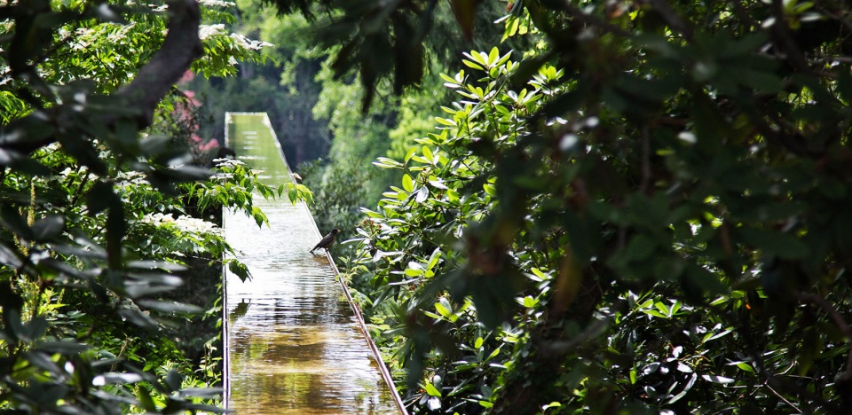 2019 asla general design award of excellence heritage flume by stimson